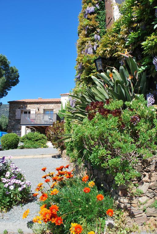 Domaine Du Mas De Peyres Daire Cavalaire-sur-Mer Oda fotoğraf